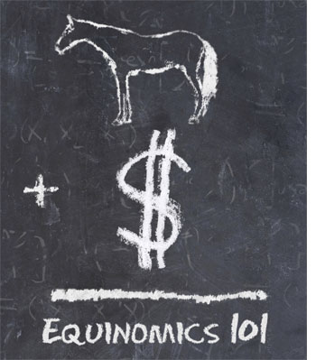 With Equinomics 101, you get an easy-to-read book and simple-to-set-up software. You can use Equinomics 101 for things as simple as: a simple record and book keeping system, a check register system, or even an easy-to-use contact management system.